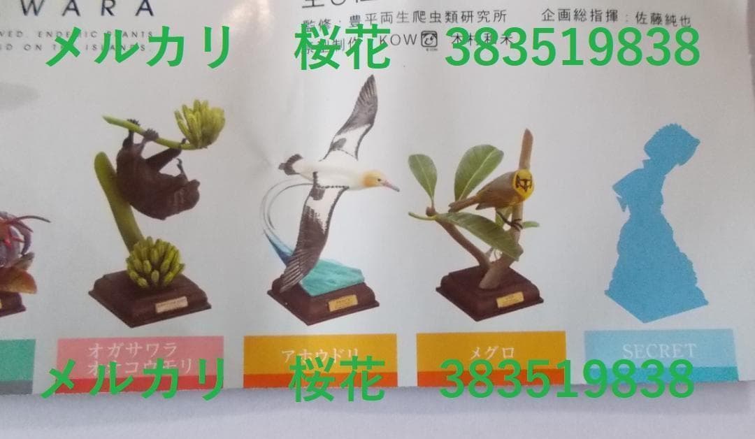 ♯Jti11Ozネイチャーテクニカラー小笠原シークレット入8種 全8種SET