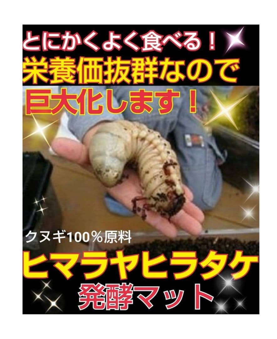 雑虫がわきません！カブトムシ幼虫の餌 産卵に！ 発酵マット【60リットル】