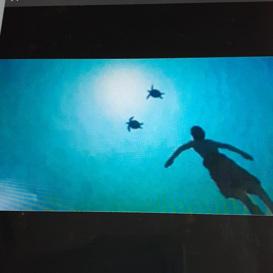 24】そらいろのたね　ジブリカレンダー　作品集　GBL