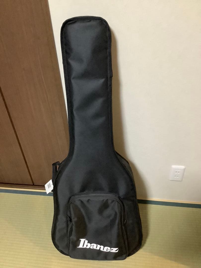 Ibanez アイバニーズフルアコAG95QA-DBS