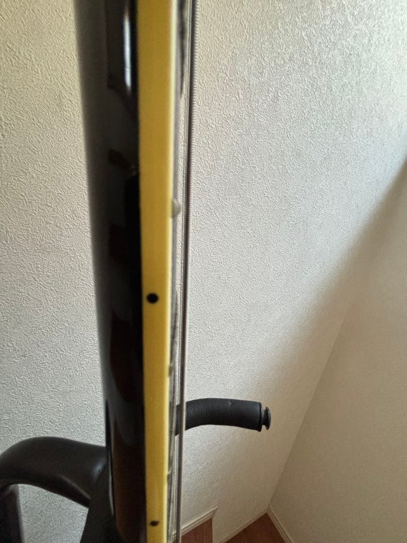 Fernandes フェルナンデス　TEJ 55g 中古