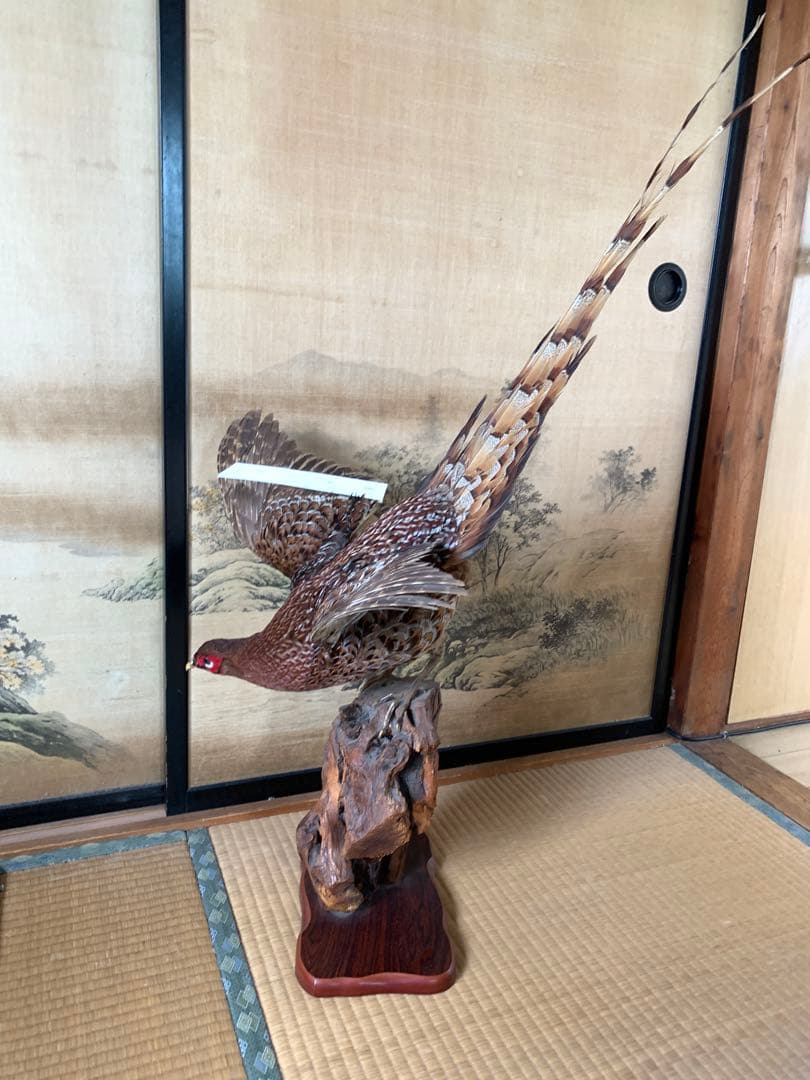 80年代 ビンテージ 亀 クサガメ 蟹 標本 透明 文鎮 水中花 縁起物 当時