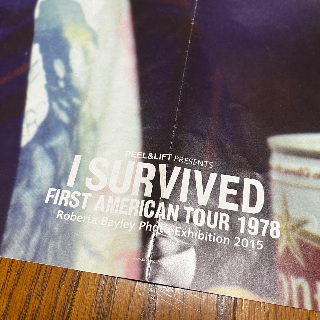 Peel&Lift 大判ポスター SEX PISTOLS