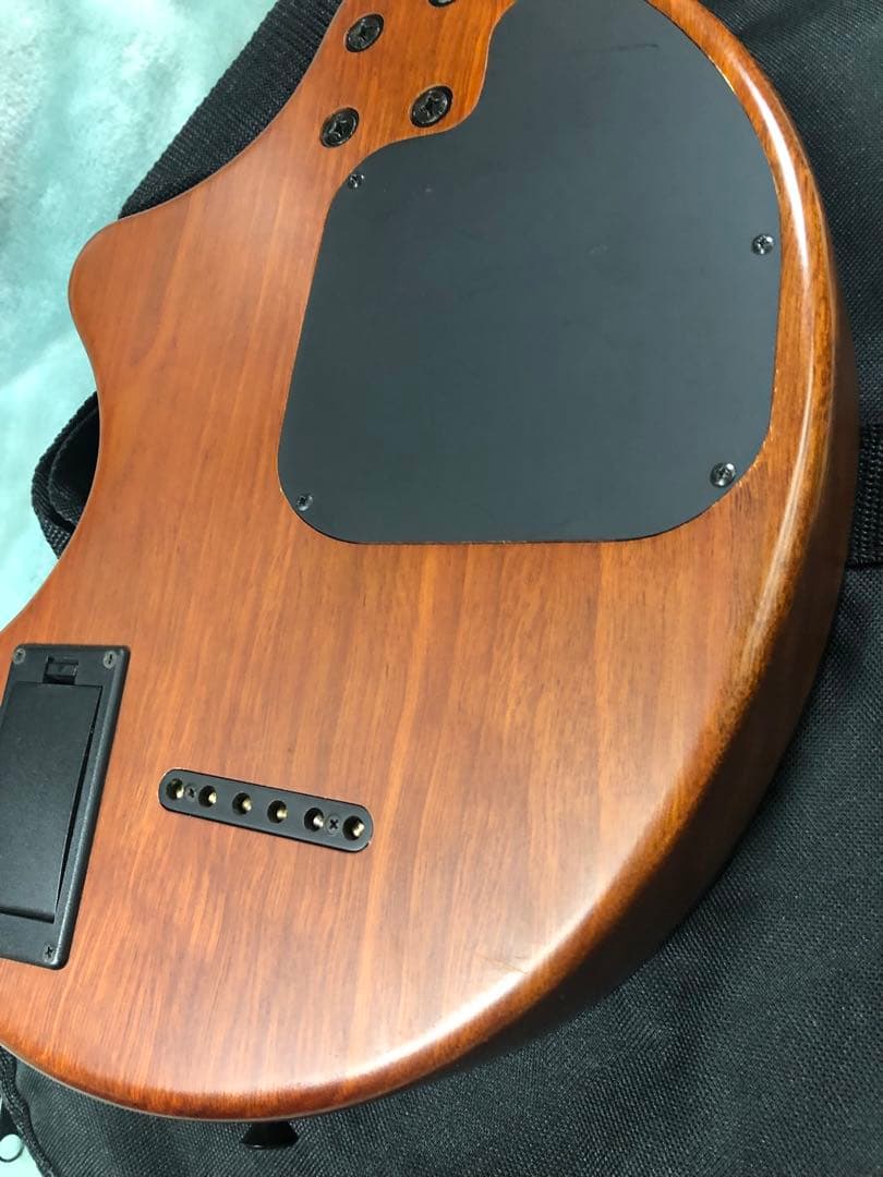 ジ*ガ様 フェルナンデス　ZO-３A エレアコ　ゾーサン