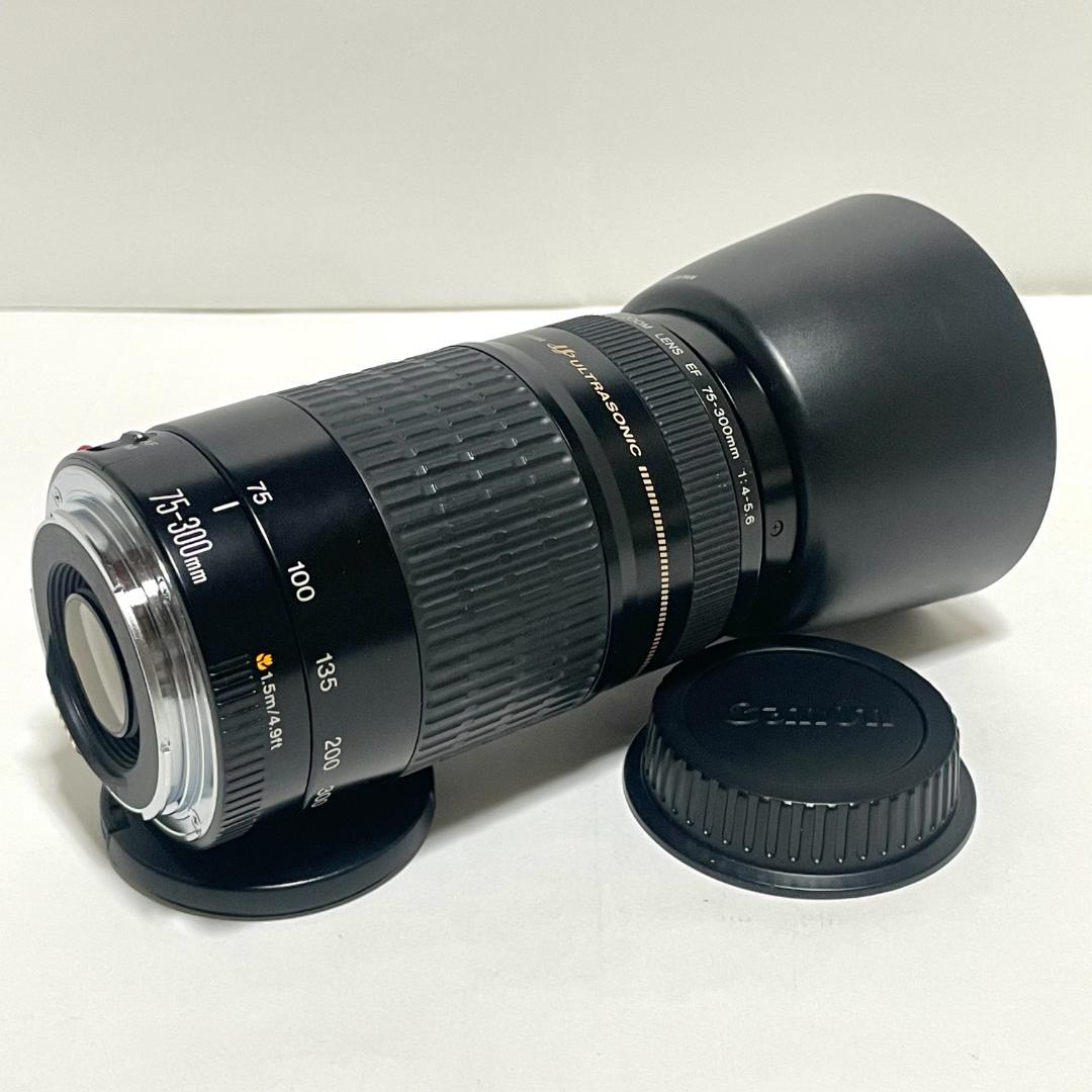 美品✨ Canon EF 75-300mm f/4-5.6 USM 望遠レンズ