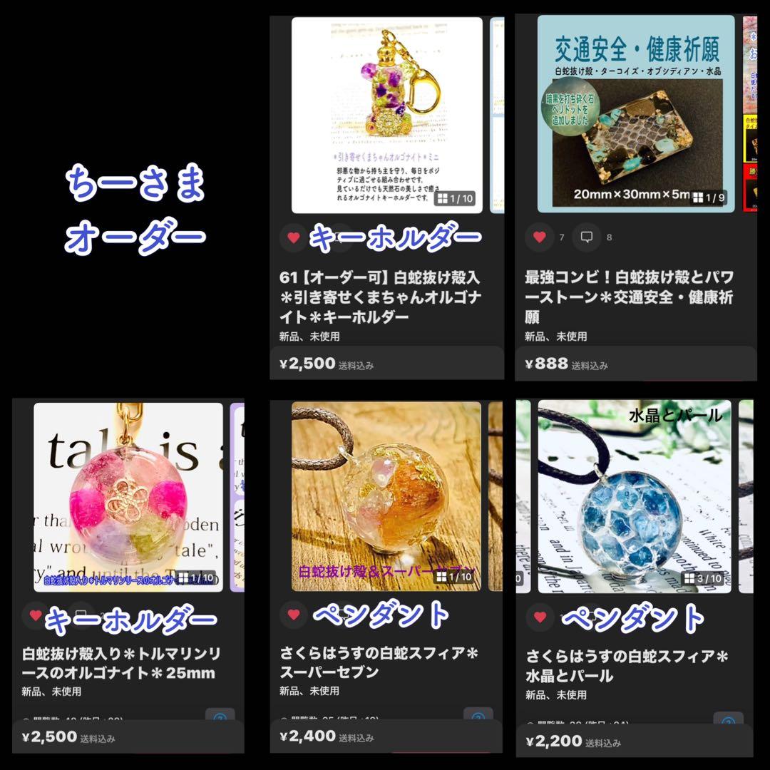 ち一さまオーダー＊白蛇抜け殻入りお守り＊５点 ち一さまオーダー＊白蛇抜け殻入りお守り＊5点 ち一さまオーダー