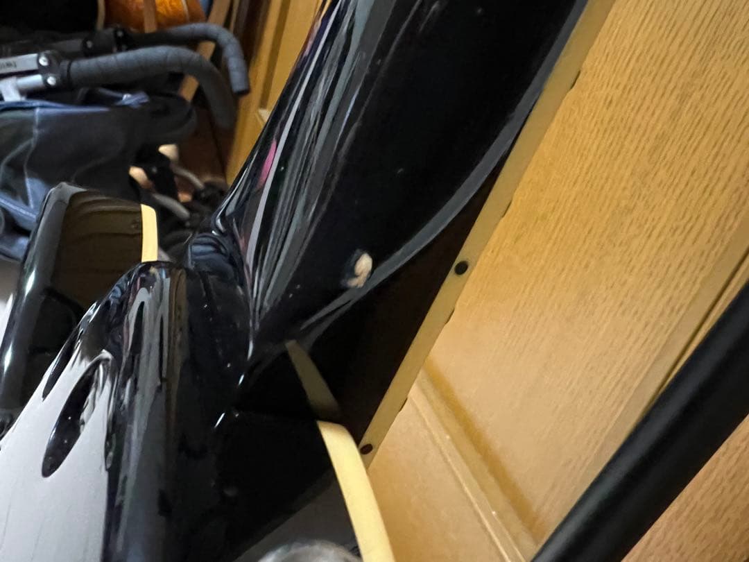 FERNANDES　RAVELLE-STEELER