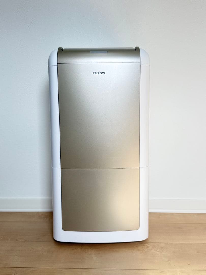 Ly Painter リィ NY個展限定ノベルティ 両面ポストカード 非売品