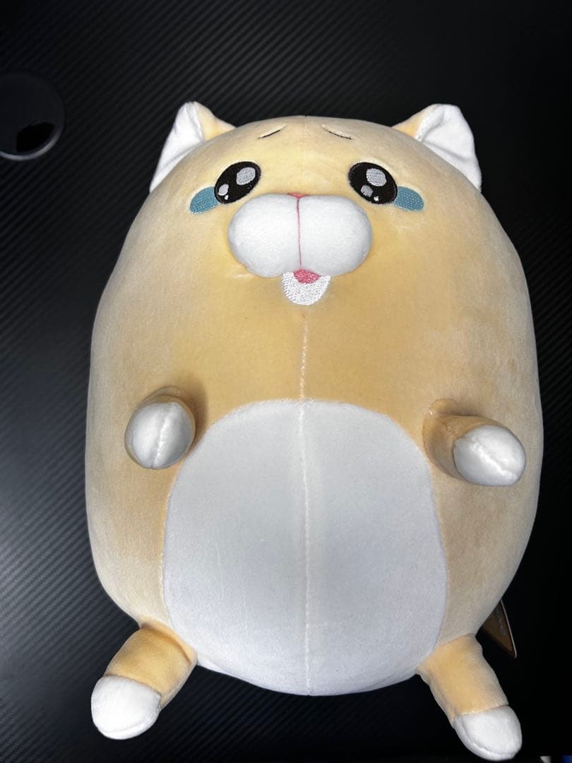 泣きむし猫のキィちゃん ましゅもっち ぬいぐるみ モフ缶 キィちゃん