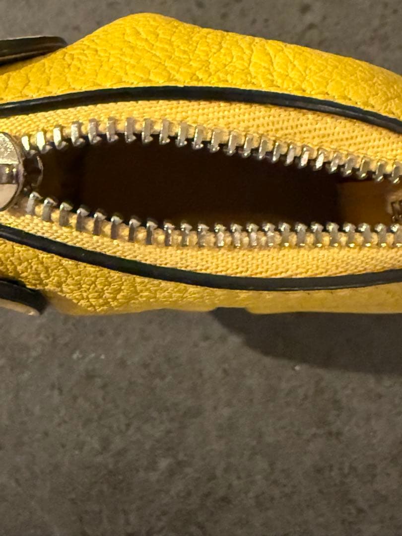 ロエベ　象　ケース