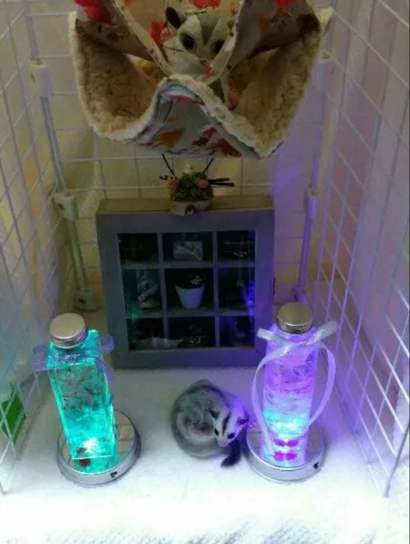 モモンガハウス（森のきつね)ボアベージュ 2000円