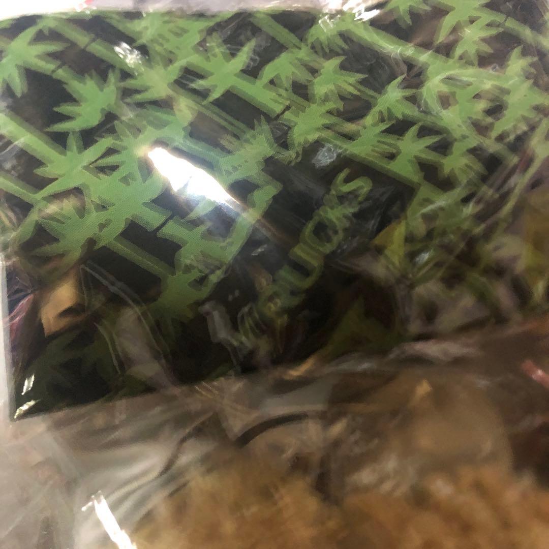 UDトラックス　コレクション