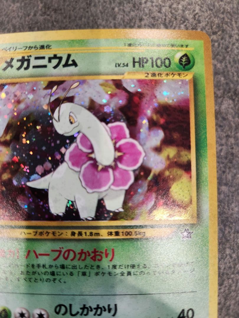ポケモンカード 旧裏 御三家 9枚フルセット（ジョウト地方）