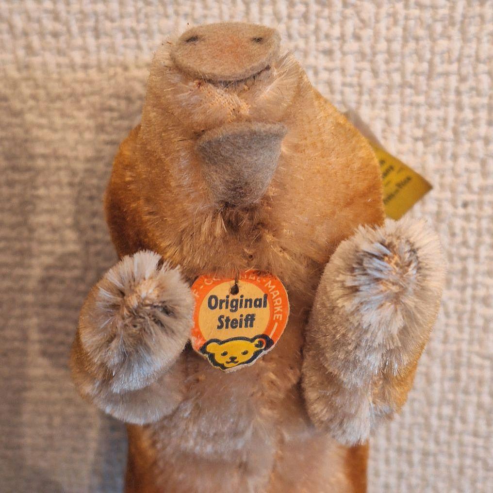 【青い目の若いイノシシ】ヴィンテージ シュタイフ