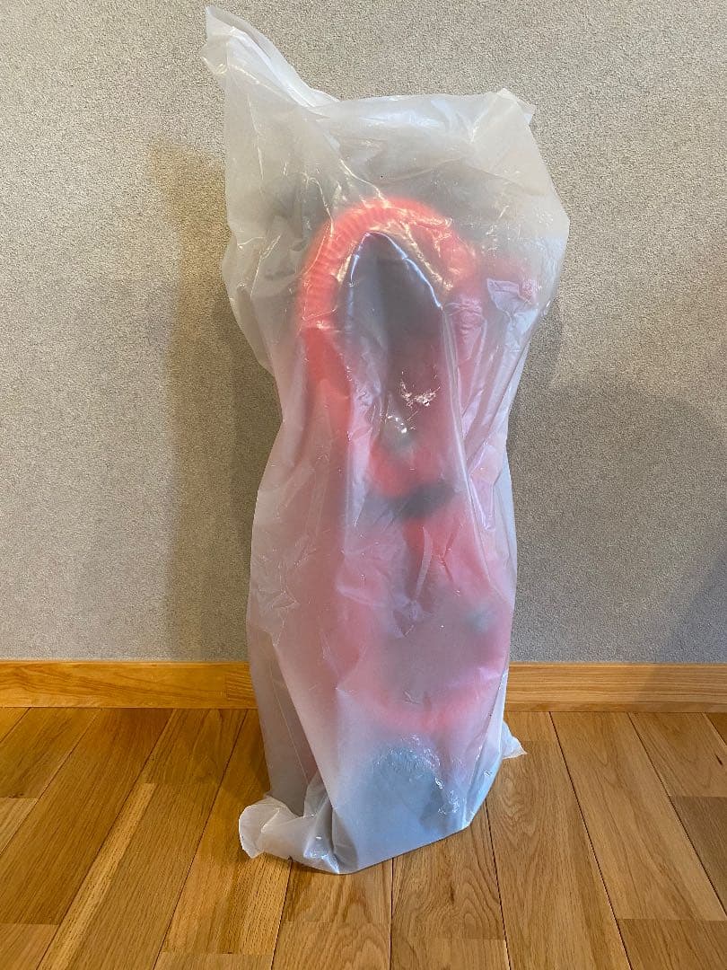 限定25/175 植物写実版画 額装 M.Tateishi ボタニカルアート 2026年