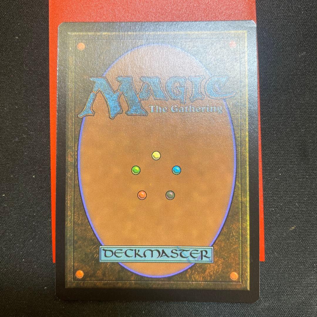 情熱的な考古学者 拡張foil サンプルパック産 傷みあり 統率者