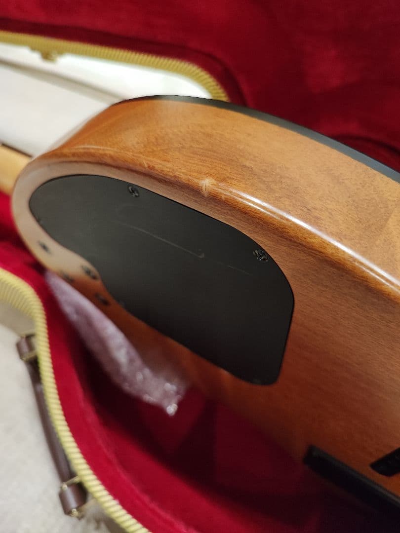 販売済み ZO-3A ハードケース付き エレアコタイプ フェルナンデス