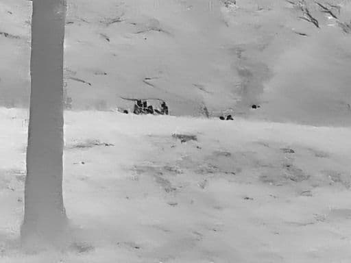 赤字出品【AI搭載高性能サーマルサイト】GTMedia AI15