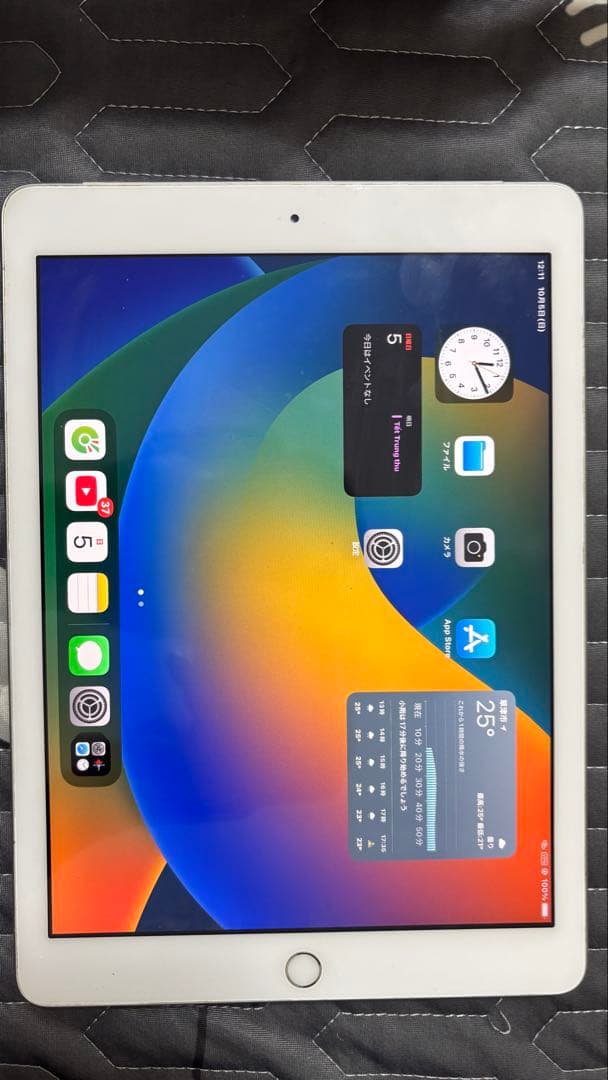 iPad Pro 本体 充電器・ケーブル付き バッテリー100％
