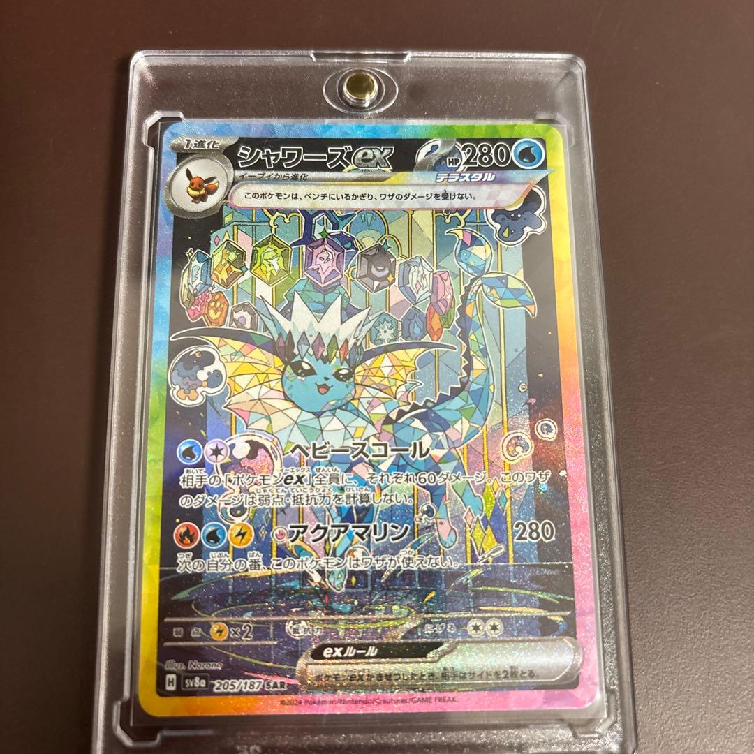 テラスタルフェスゴットパック9枚セット 美品