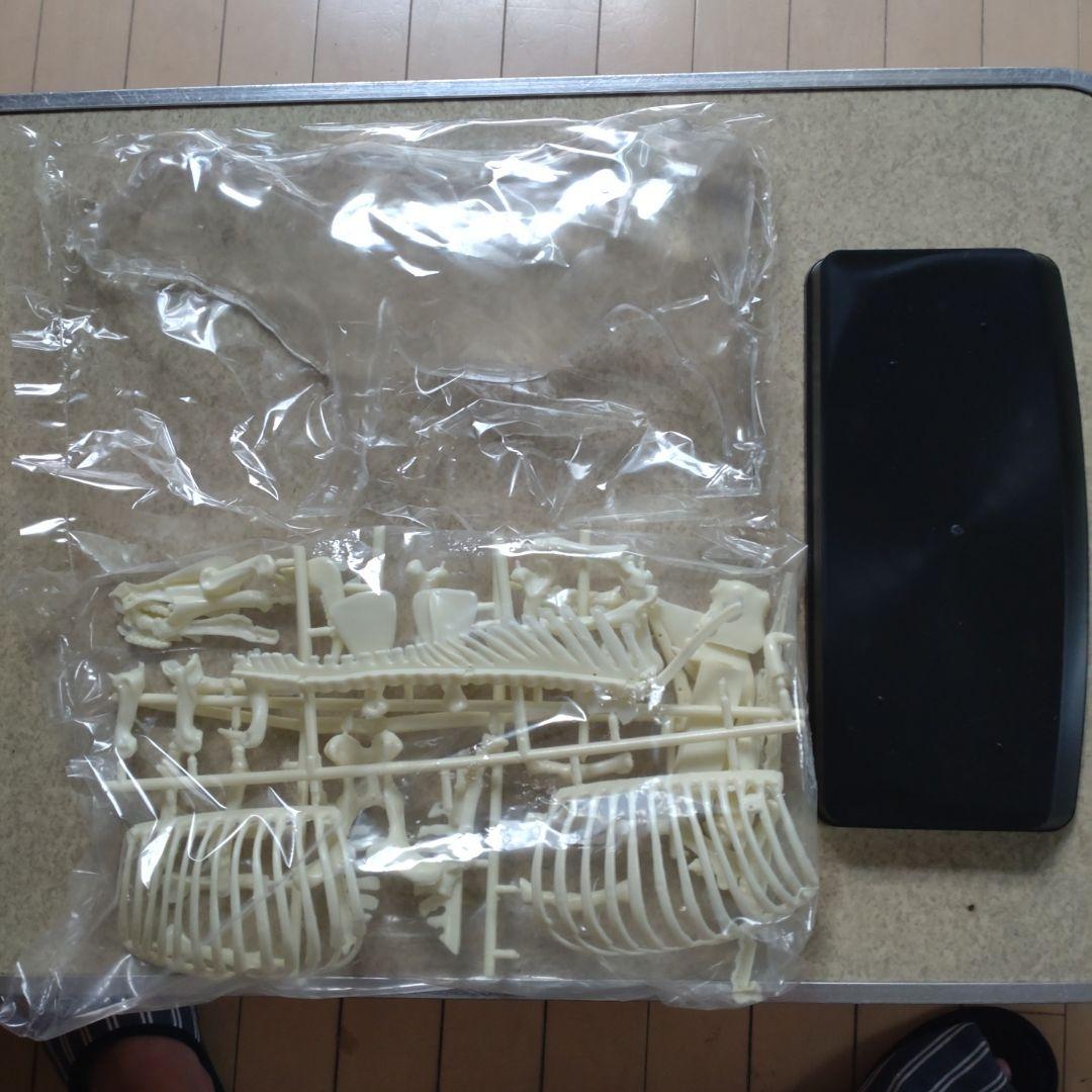 年始セール。マルサン　乳牛の秘密　プラモデル