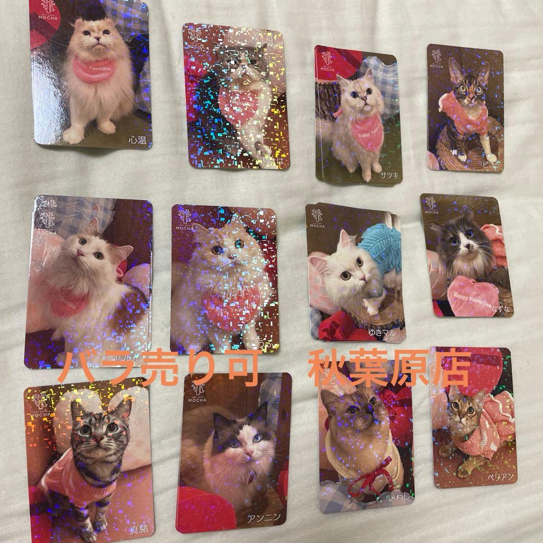 猫カフェmocha 2026 どきどきバレンタイン 秋葉原 - メルカリ