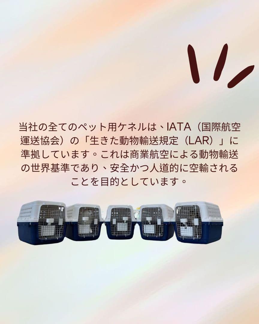 猫犬　ケージ クレート　ペットパレス BB85 移住　お出かけ 輸送 猫犬ケージ クレートペットパレス BB85 移住お出かけ 輸送