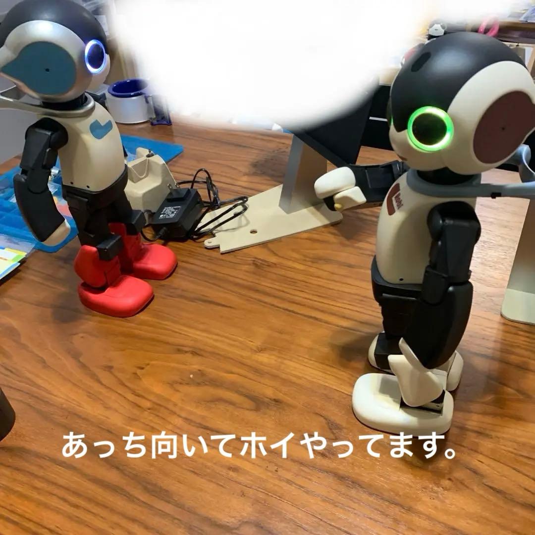 マ*ー様 ディアゴスティーニロビ2 & 初代ロビ&ココロリンクSDカードいろ