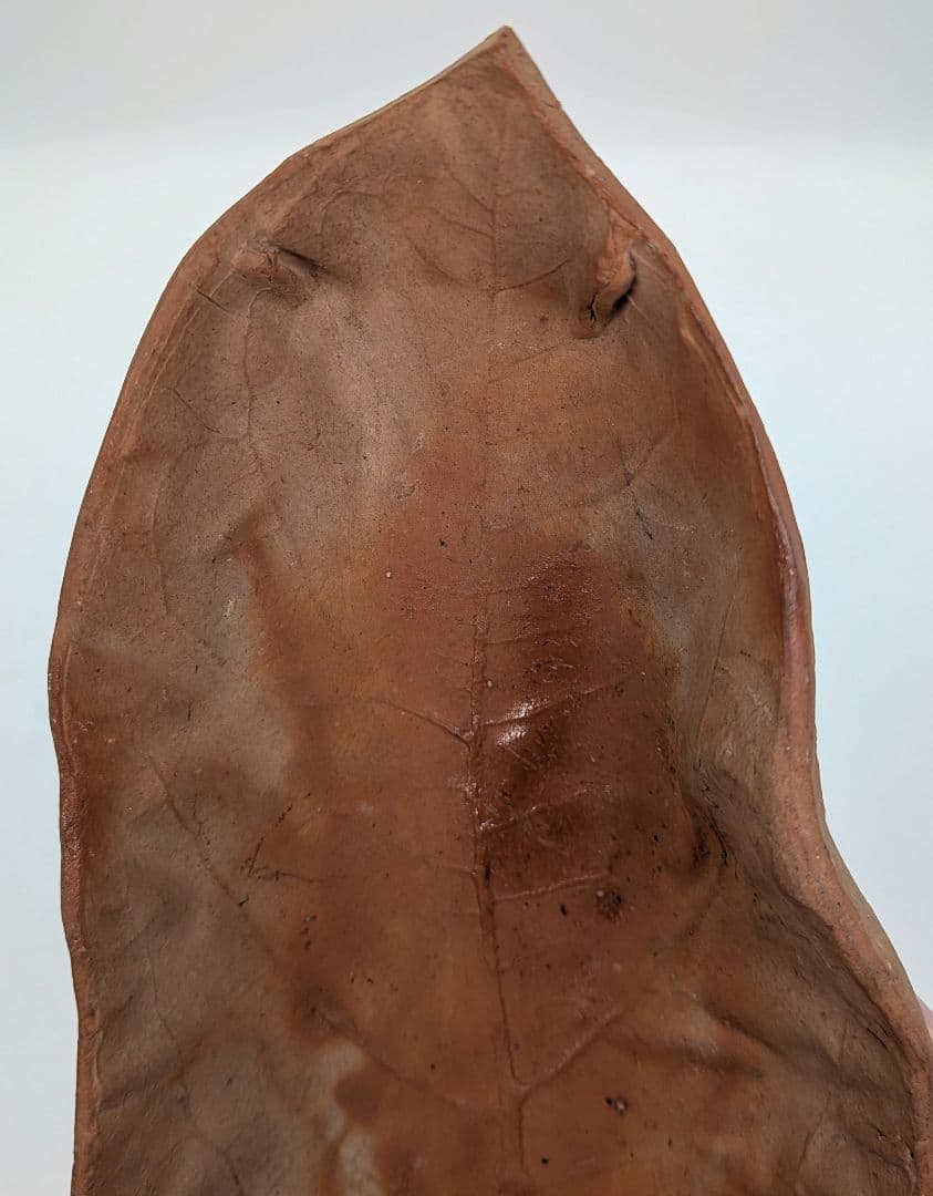 備前市無形文化財 木村玉舟 備前焼 緋襷葉皿 食器 皿鉢 中鉢 菓子器 菓子皿