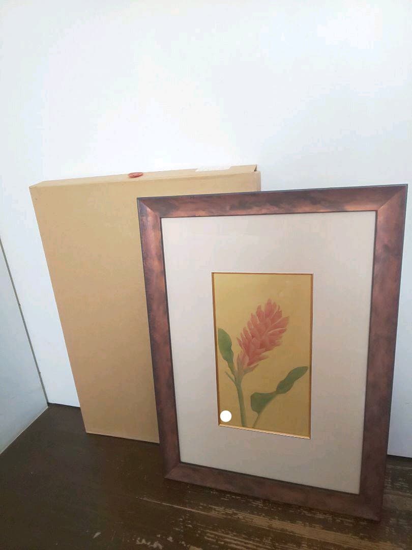 絵画 額付き ヒメバショウ 絹本 花鳥画