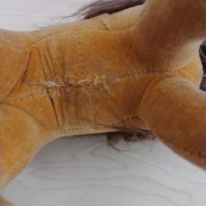 東京動物園協会　おがくず　ライオンぬいぐるみ置物