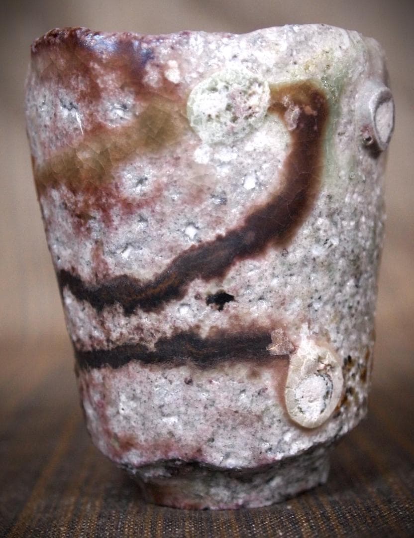 人気作家★高橋燎★信楽【窯変】焼き締め酒器A★トレインキルン薪窯