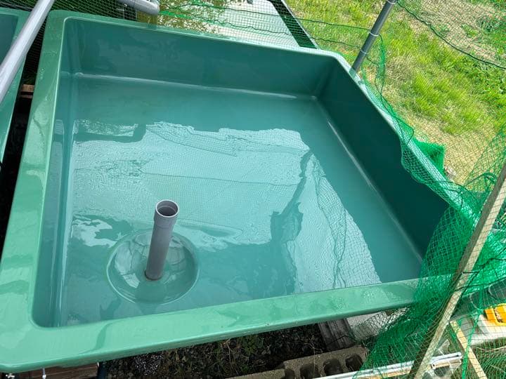 FRP水槽 福井製 らんちゅう 金魚