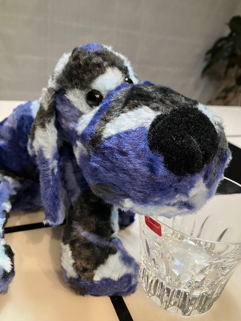 ★★ SONGです★★ 子犬のるーくL　カモフラマリン