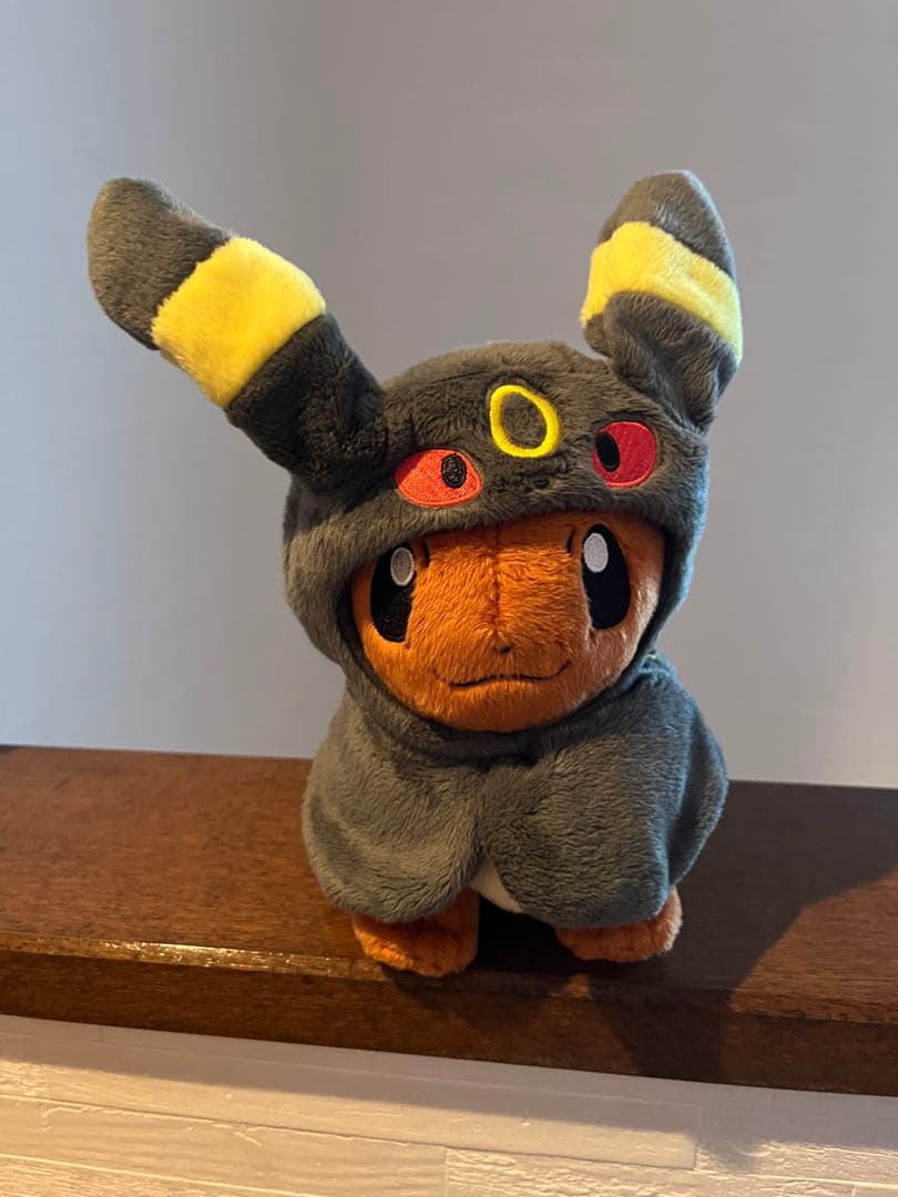 ポンチョを着たイーブイセット