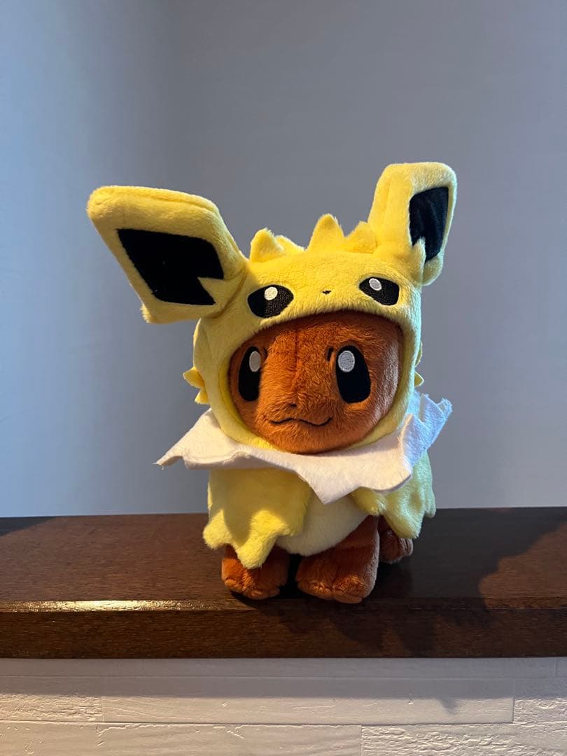 ポンチョを着たイーブイセット