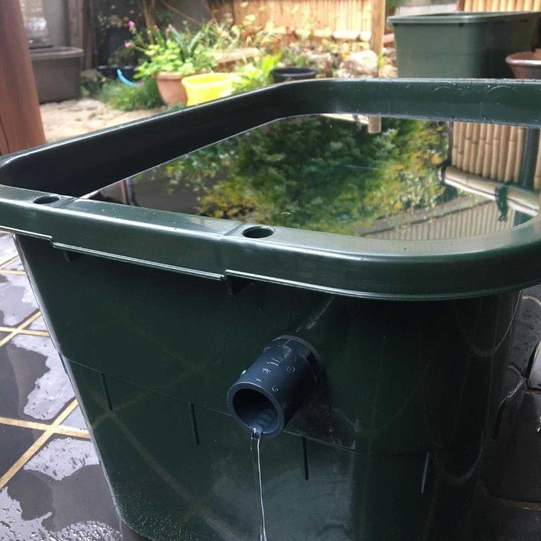 限定特価】メダカ飼育ケース 36㍑x4個（4色あり）大雨対策付 金魚