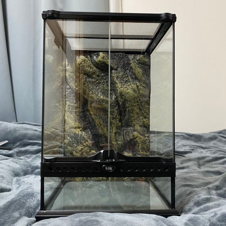 グラステラリウム3045 小売 爬虫類 爬虫類ケージ GEX エキゾテラ