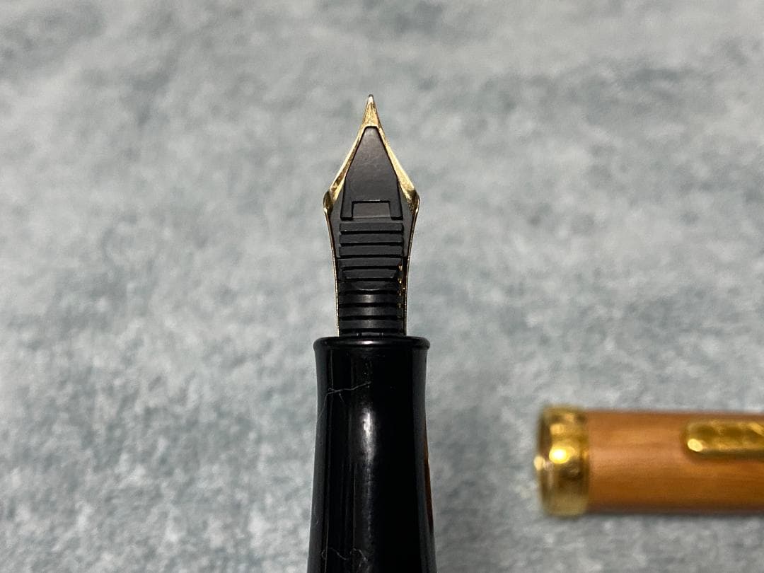 プラチナ万年筆 #3776 CENTURY 屋久杉 細字 PTB-50000YN