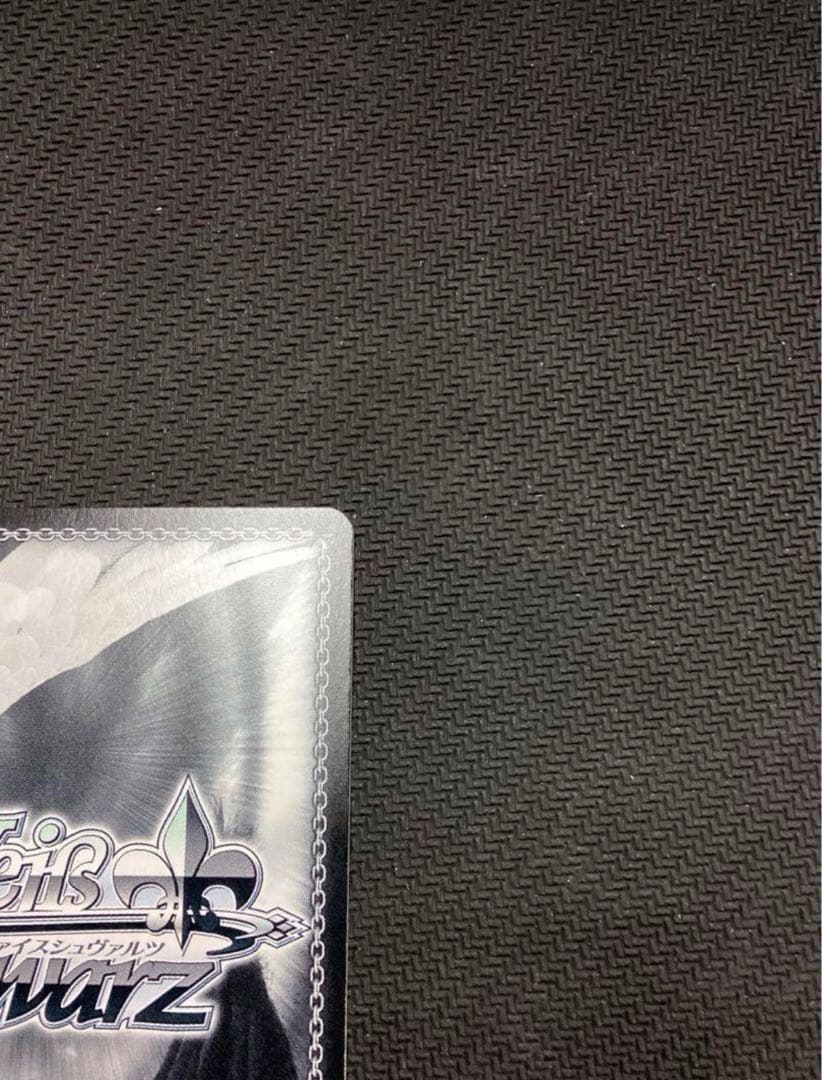 WS るろうに剣心 神谷活心流 師範代 神谷 薫 SP サイン