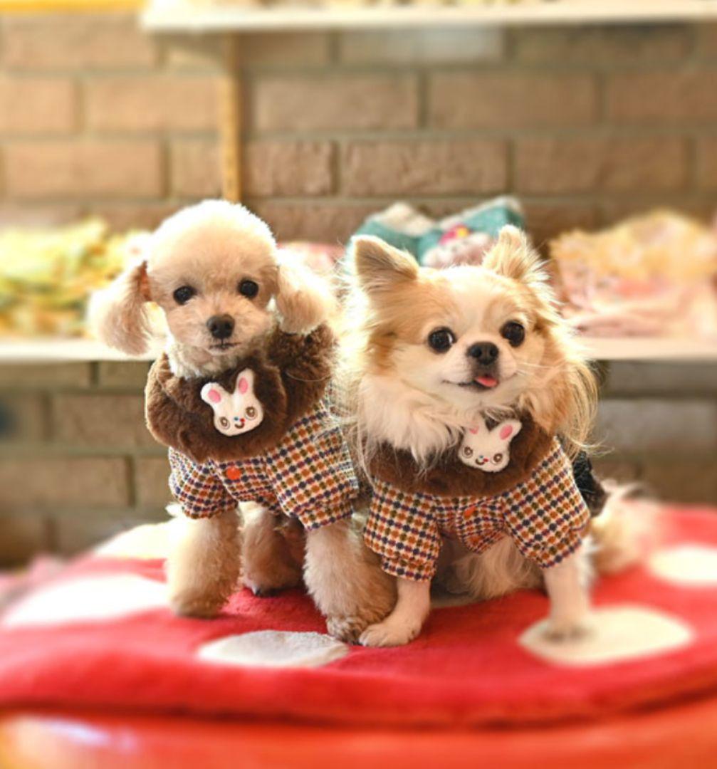 J＆Kanimals ツイードジャケットワンピース ホワイトシュガーちゃん 限定