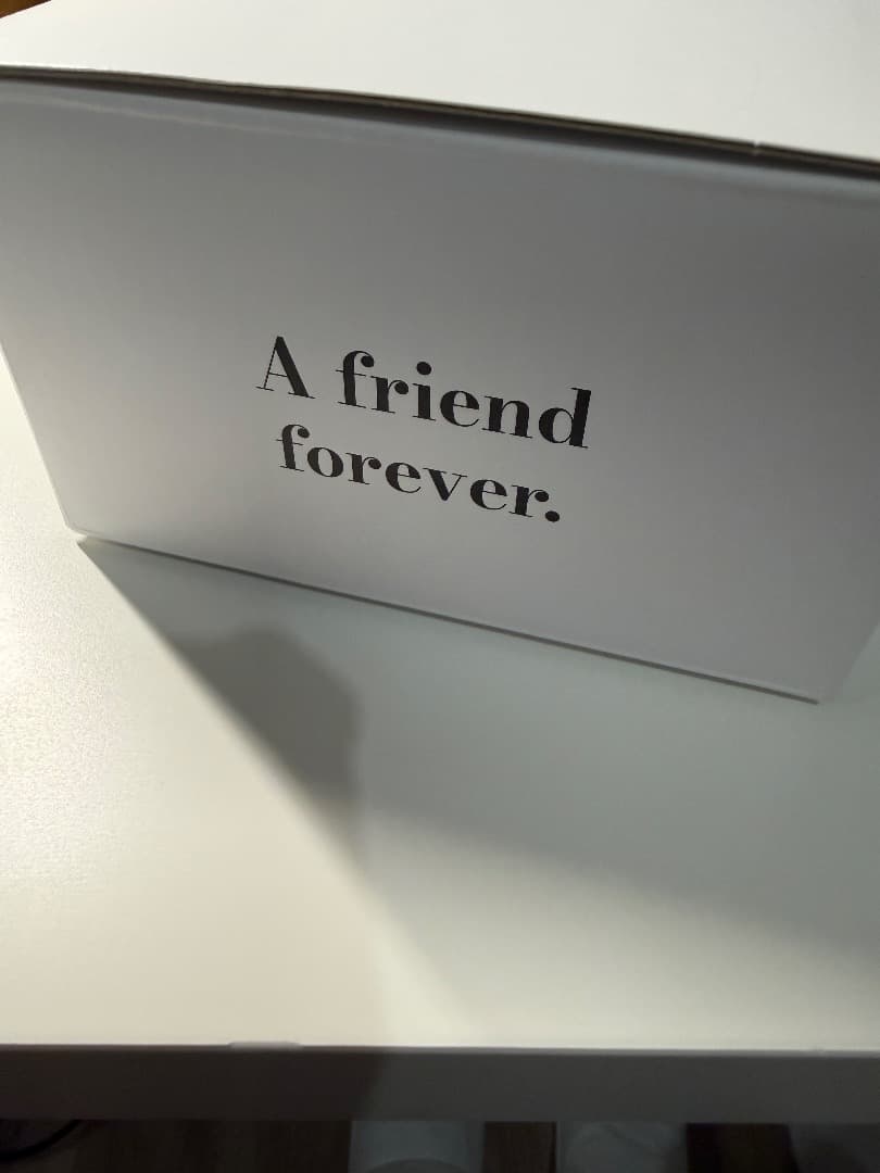 新品・希少【A.ランゲ&ゾーネ× steiffの30周年記念 テディベア 】