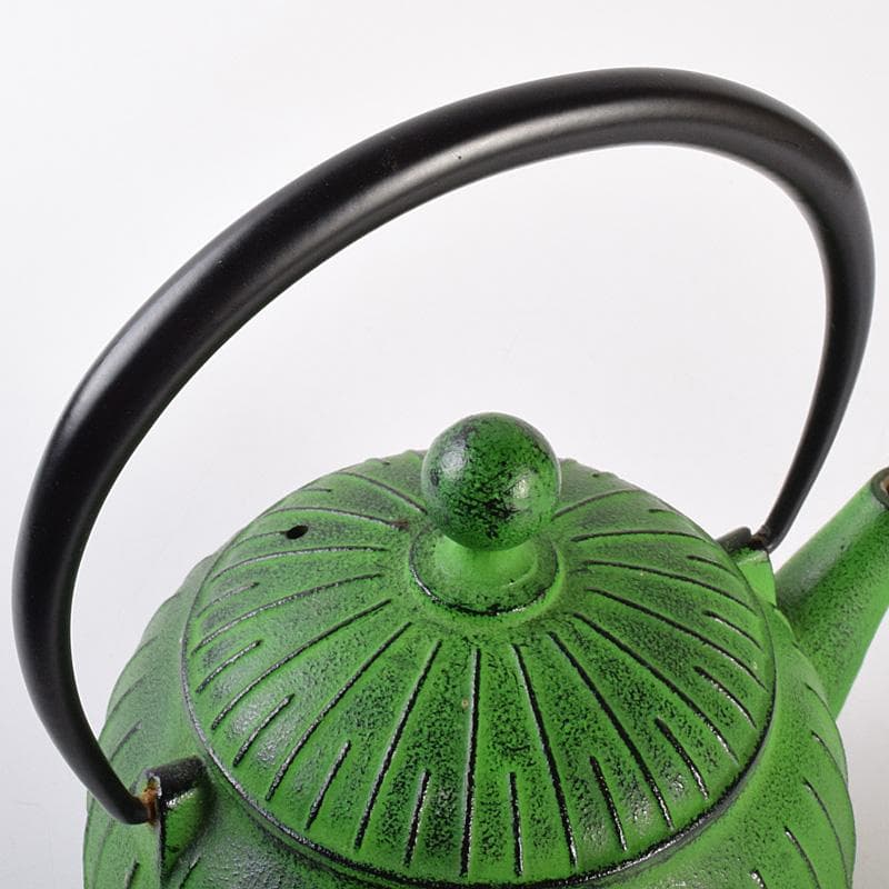 煎茶道具南部鉄器 盛栄堂造カラー急須若草色CR7575