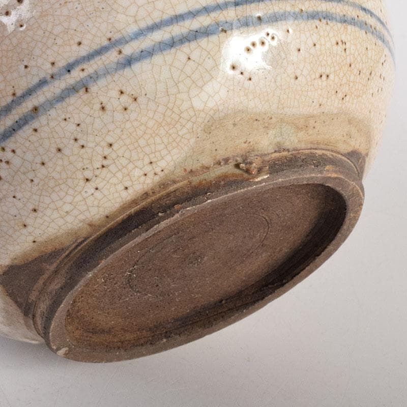 煎茶道具 益子焼 染付花文 大きめ急須 茶壷 時代箱 C R8055C