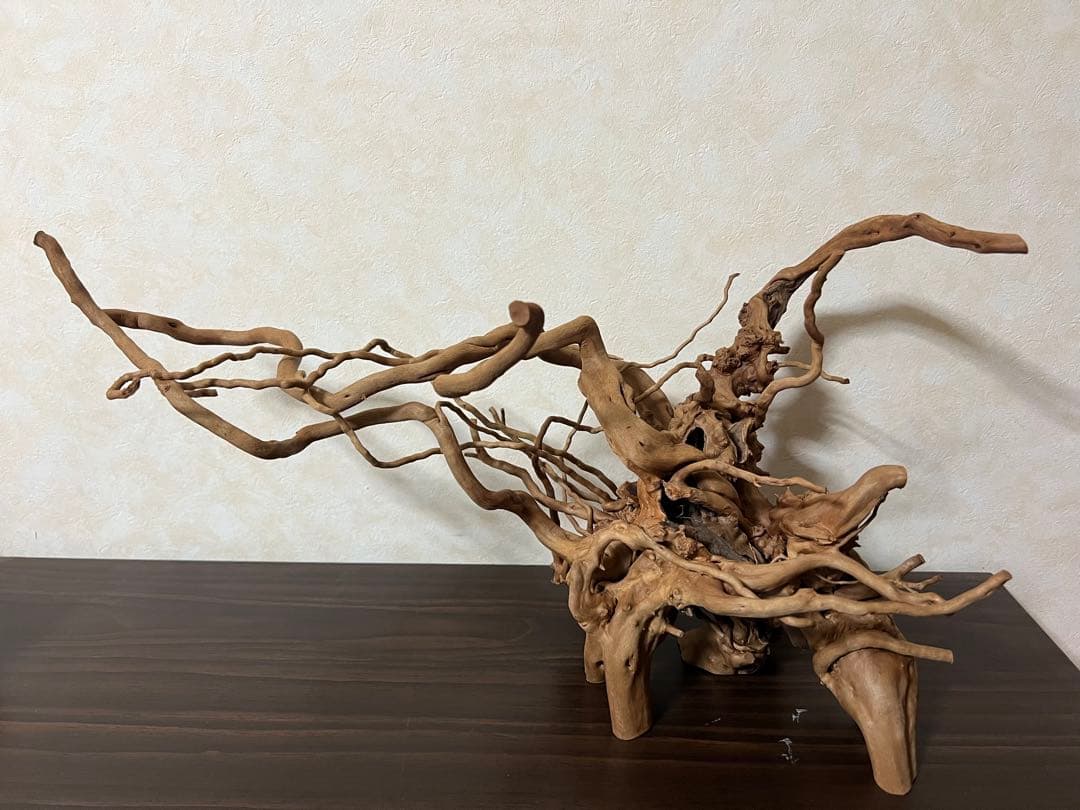 11206 ブランチウッド 流木 アクアリウム 沈水確認済