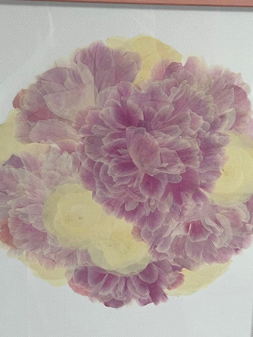 押花アート ブーケ 額付き プレスフラワー