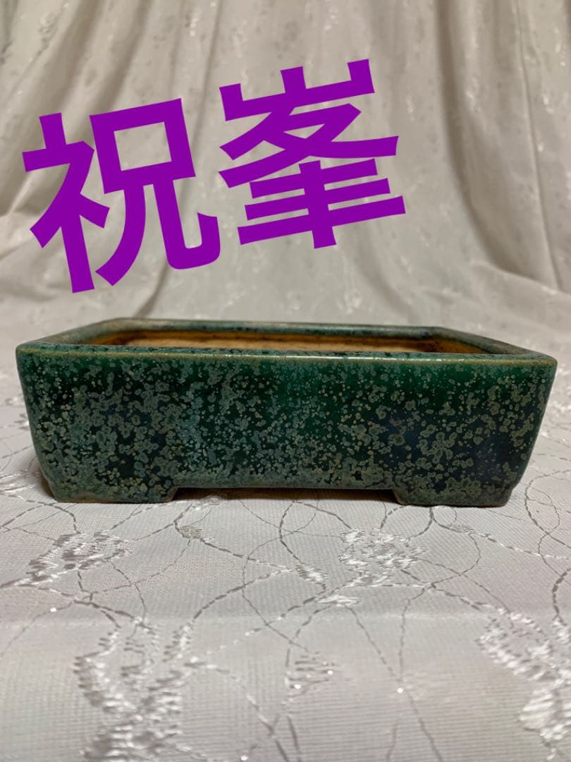 祝峯　長方　盆栽鉢