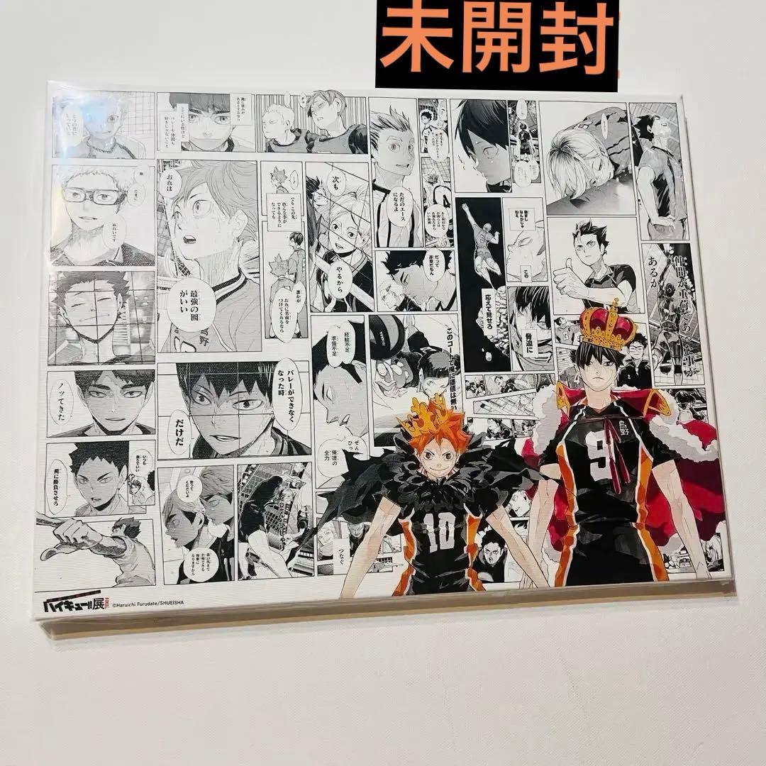 ハイキュー!!展 フルカラーBIGアートボード 日向翔陽&影山飛雄 大人