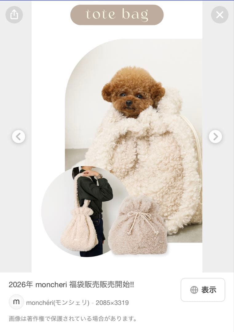 moncheriモンシェリ HAPPY BAG 2026！！ダウン M 福袋 - メルカリ