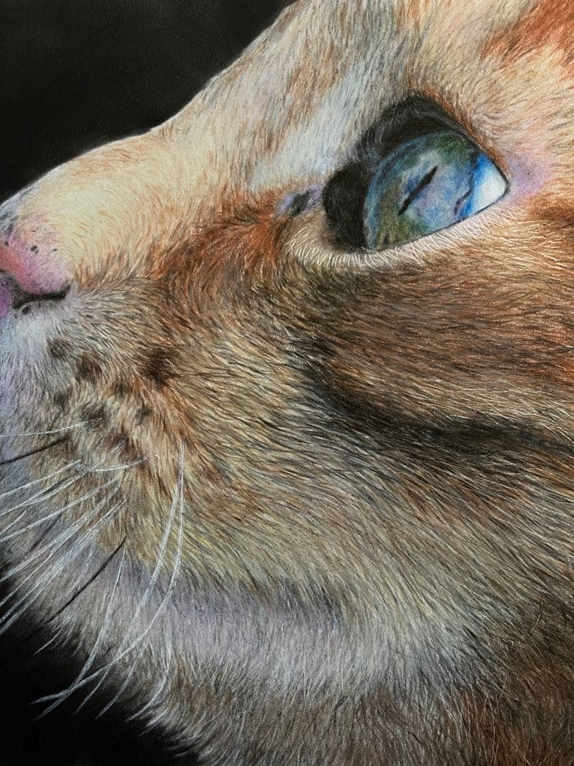 hunt 色鉛筆画 パステル